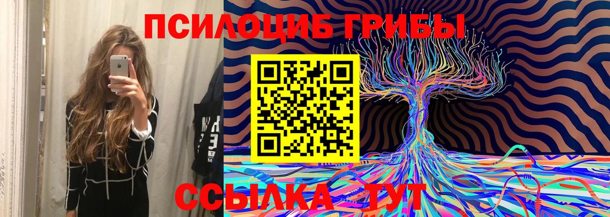 Псилоцибиновые грибы Cubensis  Вход с VPN  Балашиха 